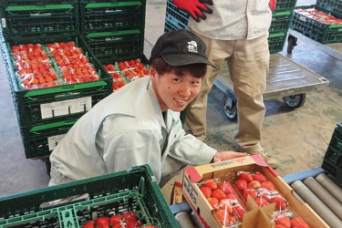 【JA福岡大城】農家さんの生活を支え多岐に渡る地域貢献【農業】