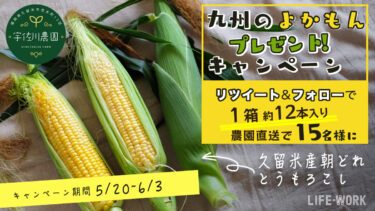 【第4弾】九州地方の”よかもん”プレゼントキャンペーン！農園直送トウモロコシ1箱×15名様